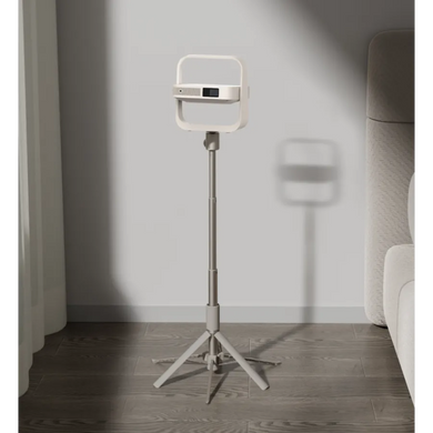 Портативная подставка XGIMI Light Gold Portable Stand (T011R)